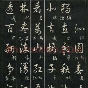 字帖欣赏《毛主席诗词三十九首草书帖》