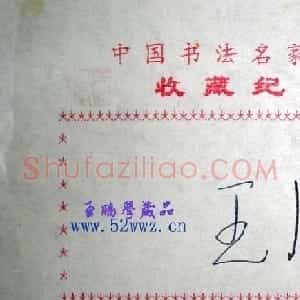 王澄钢笔书法签名欣赏