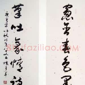 名家墨宝权希军书法作品欣赏