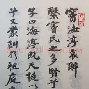 原北洋政府秘书长张伯英书法欣赏《窦海渟哀辞》
