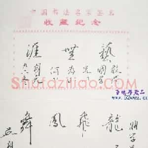 吴身元书法题签：龙飞凤舞