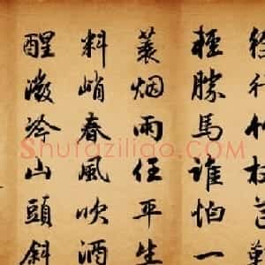 赵孟頫行书集字《定风波+苏幕遮》
