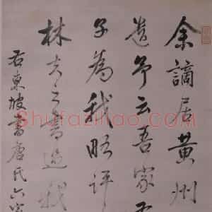 汪士鋐行书东坡评语轴