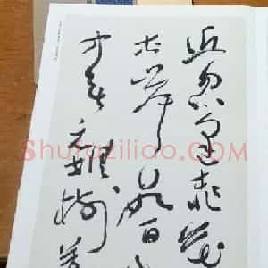 沈鹏草书欣赏《桃花源记》