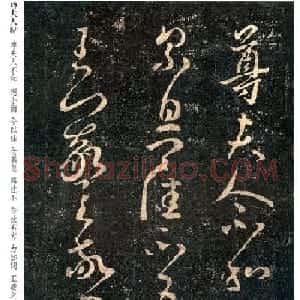 王羲之书法草书欣赏《尊夫人帖》