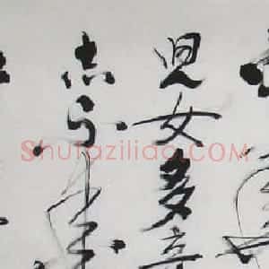 张开政书法作品欣赏