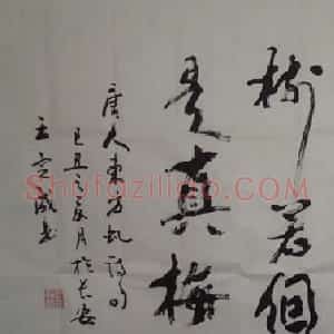 王定成书法作品欣赏