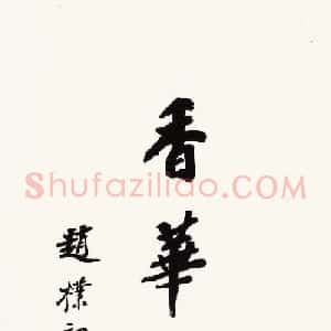 赵朴初行书北京保利2021春拍专辑