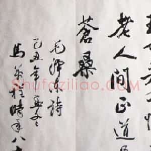 马万程书法作品欣赏