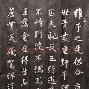 彭汶孙书法摹黄庭坚阴长生诗石刻