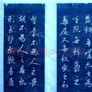 赵孟頫行书欣赏《憎苍蝇赋》拓本