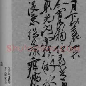 徐渭草书作品《月下梨花》