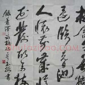 冯玉振书法作品