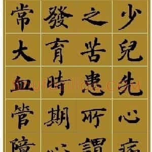 范笑歌楷书《中国少儿先心病基金宣讲辞》