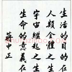 蒋中正书法作品欣赏