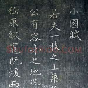 清代毛树棠小楷书法欣赏《小园赋》