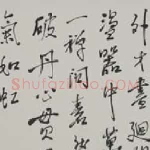 国学大师南怀瑾书法作品欣赏
