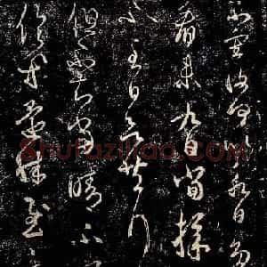 王羲之草书作品欣赏《采菊帖》四种