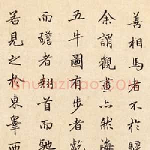 元代孔克表行楷书法墨迹跋五牛图