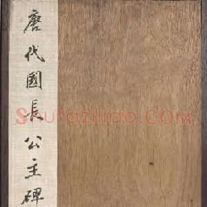 唐代郑聪书法《代国长公主碑》