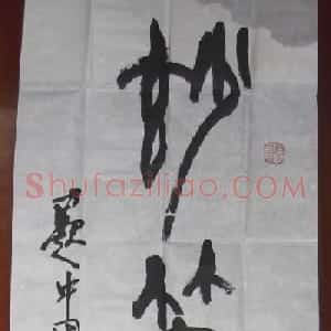 傅嘉仪为《中国书法名家题签墨宝》题字