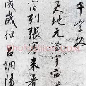 南宋皇帝赵构《行书千字文》书法图片19P