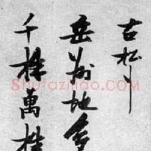 晚明张瑞图行书欣赏《古松行》