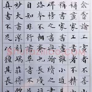 卢中南小楷书法作品两幅高清大图欣赏