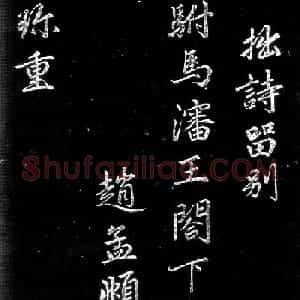 赵孟頫行楷书法欣赏留别沈王诗帖
