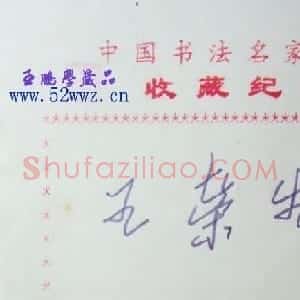 王荣生钢笔书法签名欣赏