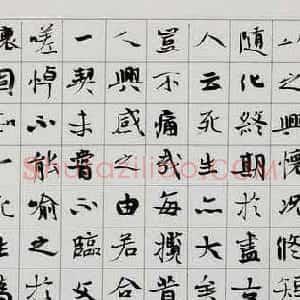 张维忠书法手卷王羲之兰亭集序