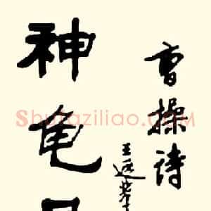 王遐举隶书作品欣赏《曹操诗篇》