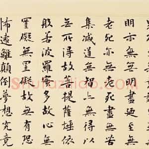 卢中南书法《心经》+王超鹏书法《心经》