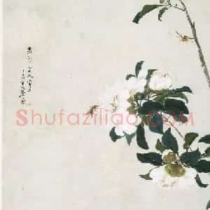 清代居廉花卉虫草册页八开