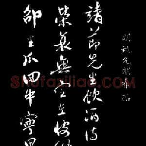 祝允明行草书法《靖节先生饮酒诗》