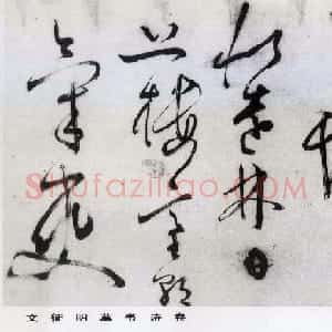 文徵明草书诗卷赏析《七律诗三首》
