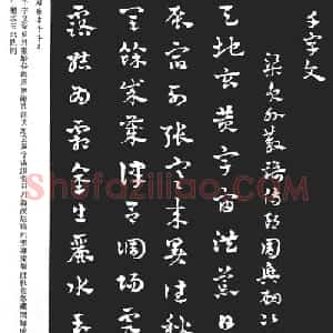 赵雍书法《章草千字文》大图欣赏