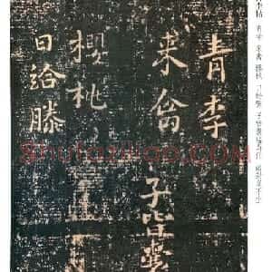 王羲之楷书欣赏《青李来禽帖》