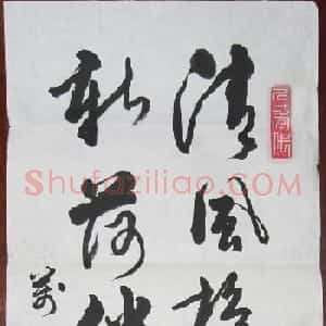 肖万才书法作品