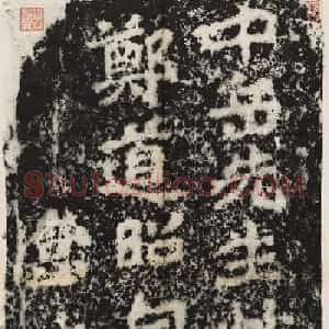 魏碑体鼻祖郑道昭书法作品欣赏