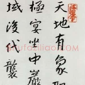 八大山人书法欣赏《节临李邕岳麓寺碑》
