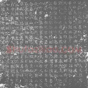 唐代 楷书墓志拓片《大唐隋故车骑将军金公墓志铭》高清图片欣赏