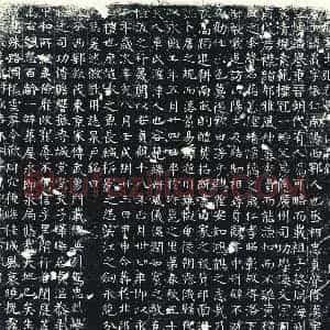 唐代 楷书墓志拓片《唐故处士张君墓志铭》高清图片欣赏