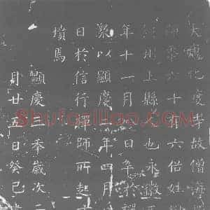 唐代 楷书墓志拓片《大唐化度寺故僧海禅师》高清图片欣赏