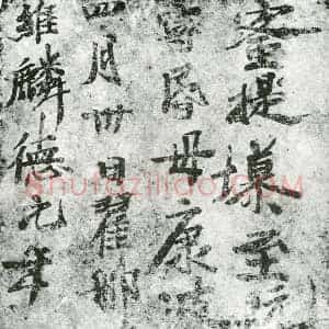 唐代 楷书墓志拓片《翟那宁昏母康波蜜提》高清图片欣赏