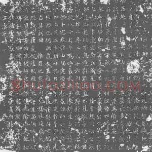 唐代 楷书墓志拓片《唐故任同州白水县令右任宛丘县令杨君墓志铭》高清图片欣赏