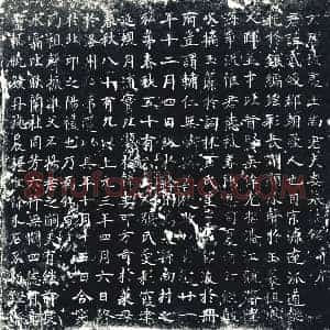 唐代 楷书墓志拓片《大唐故处士尚君夫妻墓志铭》高清图片欣赏