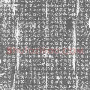 唐代 楷书墓志拓片《大唐故平□□□戍主康君墓志铭》高清图片欣赏