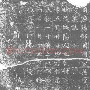 唐代 楷书墓志拓片《大唐故营州都督上柱国渔阳郡开国公孙管俊墓志》高清图片欣赏