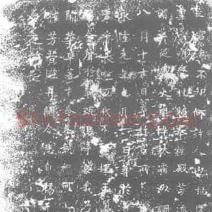 唐代 楷书墓志拓片《亡宫者不知何许人也挺闲婉之姿》高清图片欣赏
